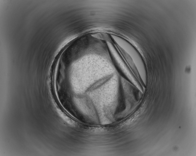 X0000099411042200805301341