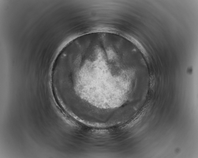 X0000099411043200805301341