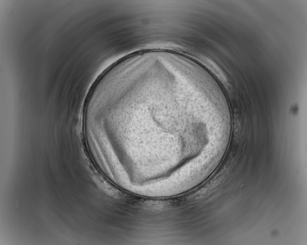 X0000099411044200805301341