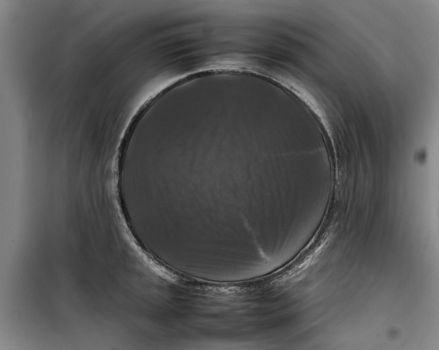 X0000099411045200805301341