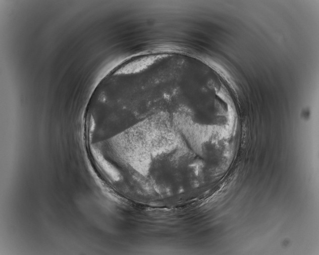 X0000099411047200805301341