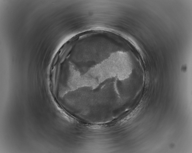 X0000099411048200805301341