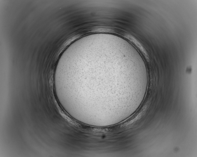 X0000099411049200805301341