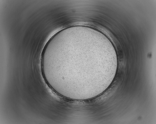 X0000099411050200805301341