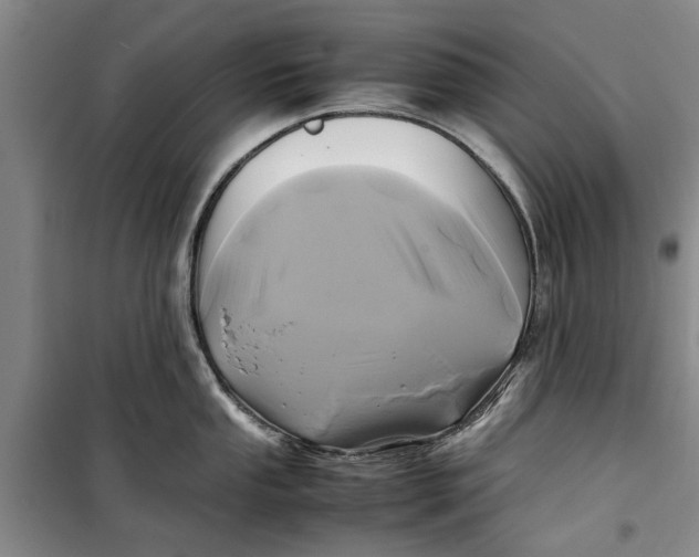 X0000099411053200805301341