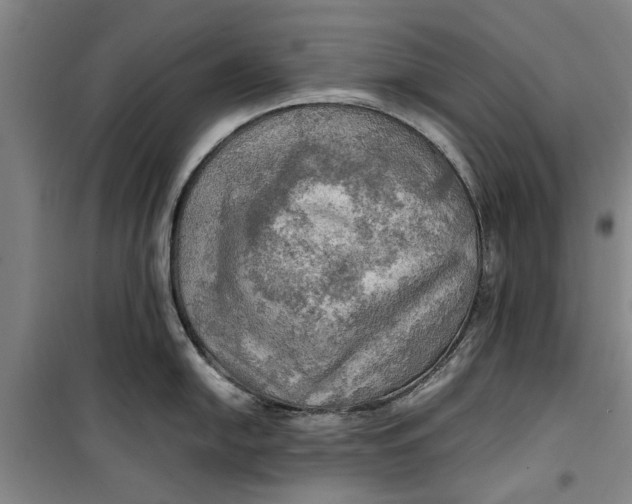 X0000099411054200805301341