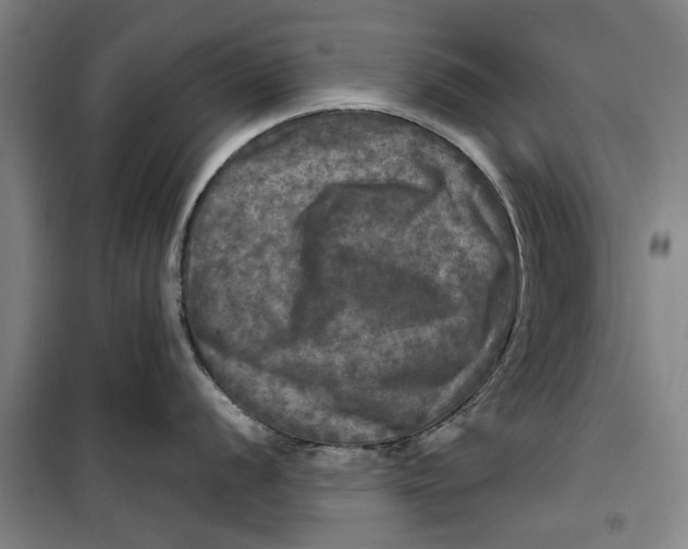 X0000099411056200805301341