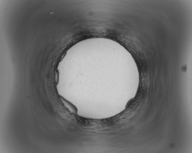 X0000099411057200805301341