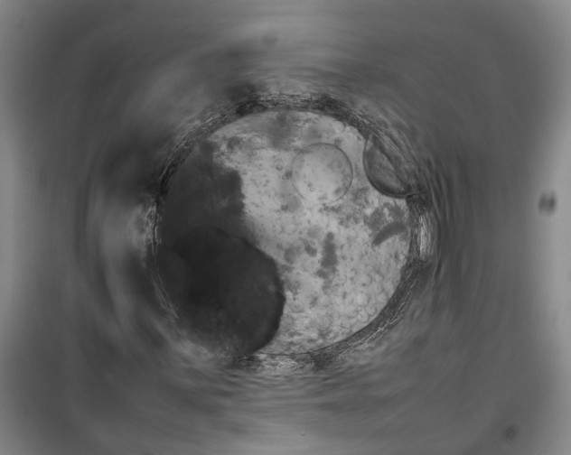 X0000099411059200805301341