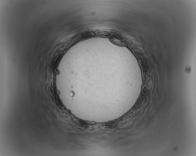 X0000099411061200805301341