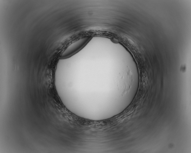 X0000099411062200805301341