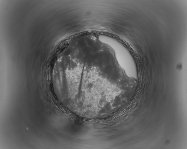 X0000099411063200805301340