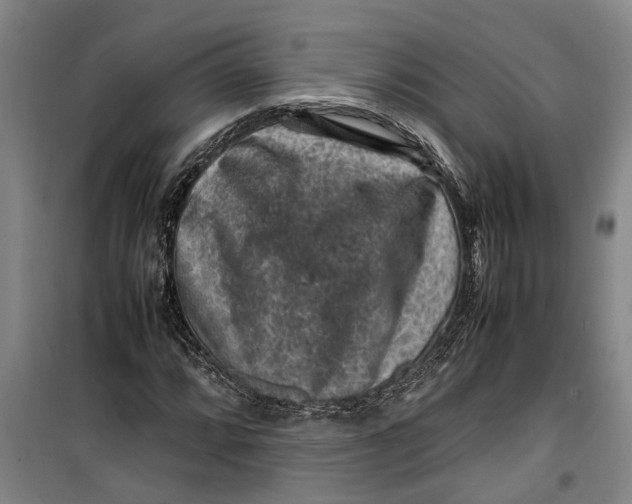 X0000099411064200805301340