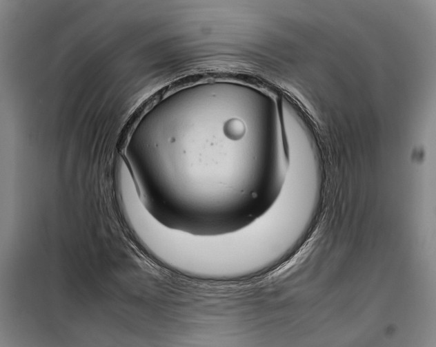 X0000099411065200805301340