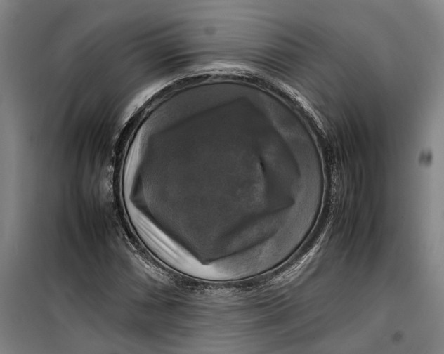 X0000099411066200805301340