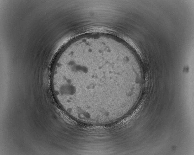 X0000099411067200805301340