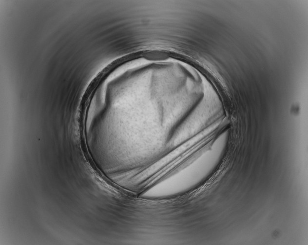 X0000099411068200805301340