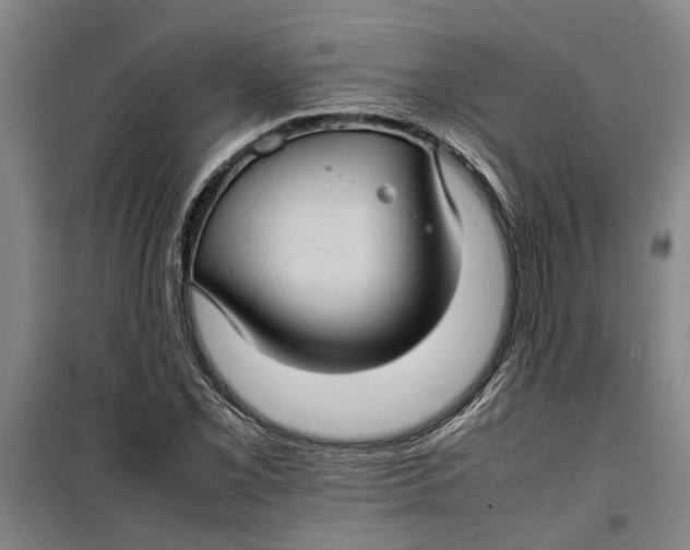 X0000099411069200805301340