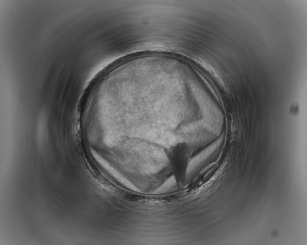 X0000099411070200805301340