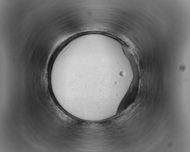 X0000099411072200805301340