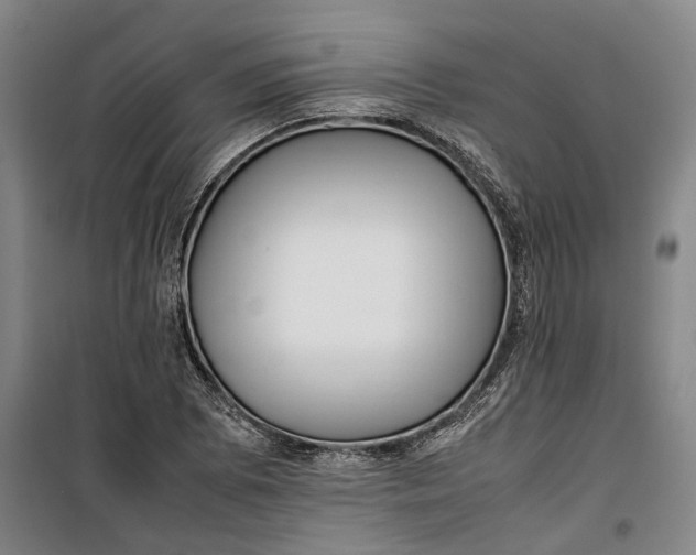 X0000099411073200805301340