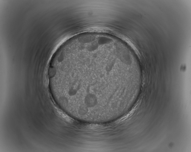 X0000099411075200805301340