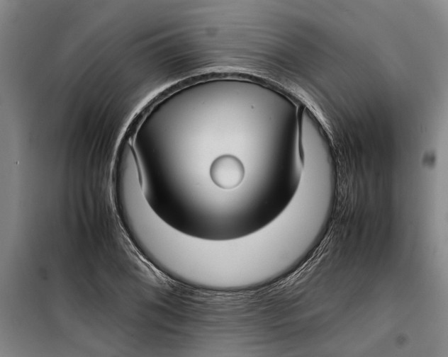 X0000099411076200805301340