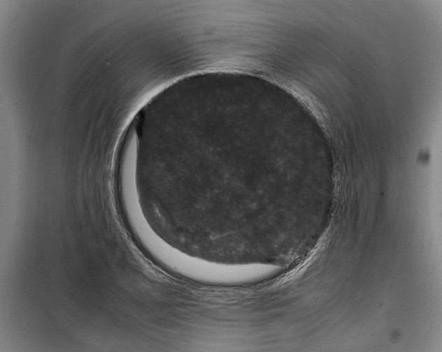 X0000099411077200805301340