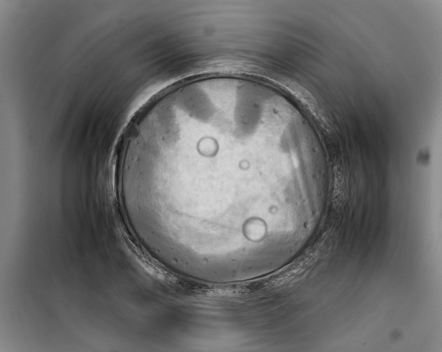 X0000099411078200805301340