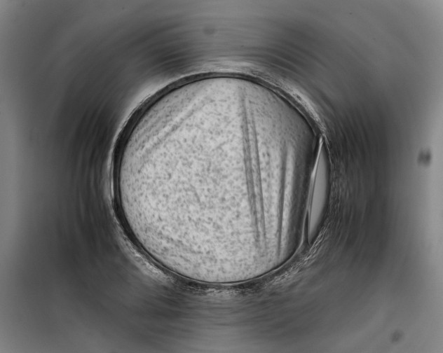 X0000099411080200805301340