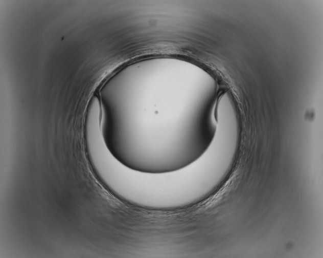 X0000099411081200805301340