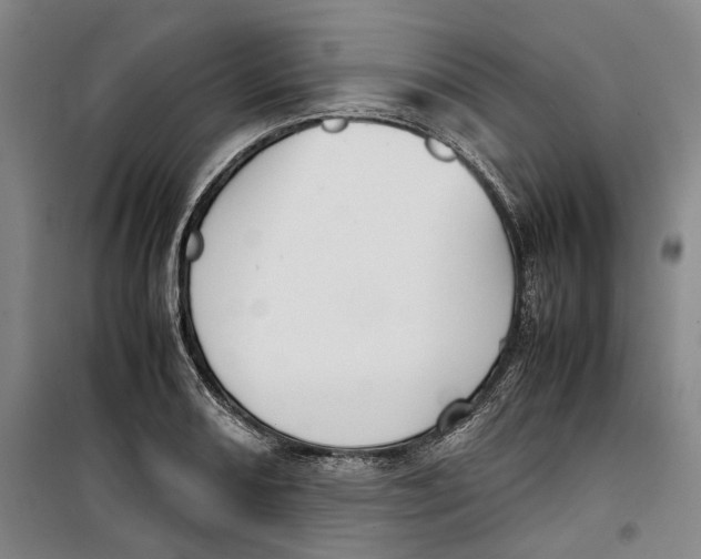 X0000099411082200805301340