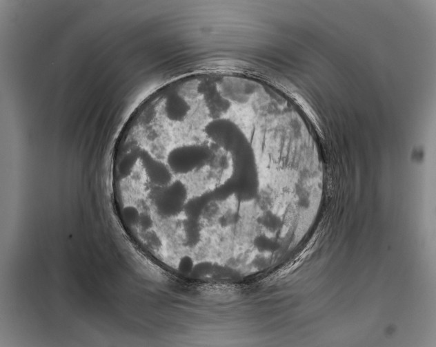 X0000099411083200805301340