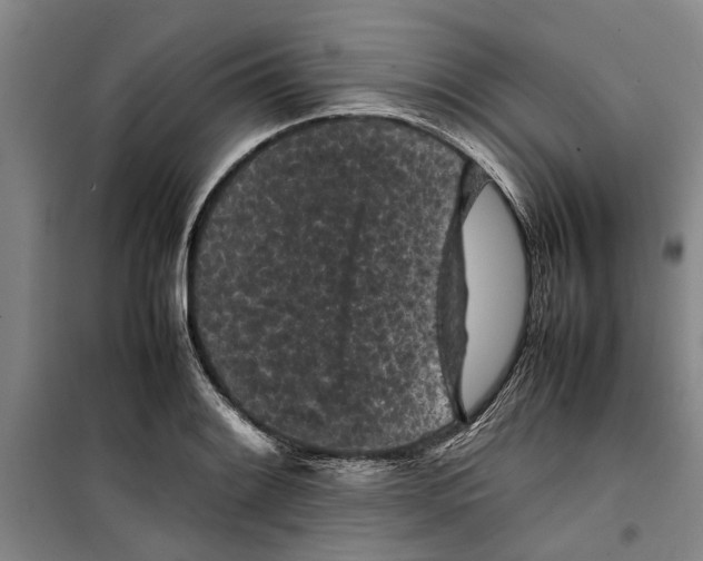 X0000099411084200805301340