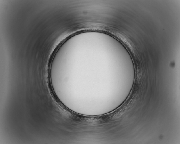 X0000099411085200805301340