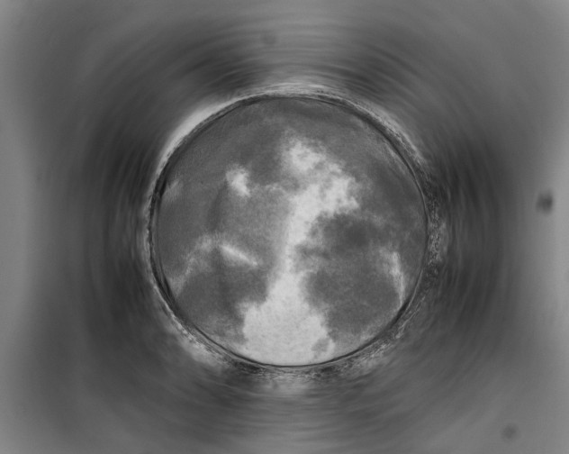 X0000099411086200805301340