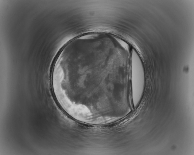 X0000099411087200805301340