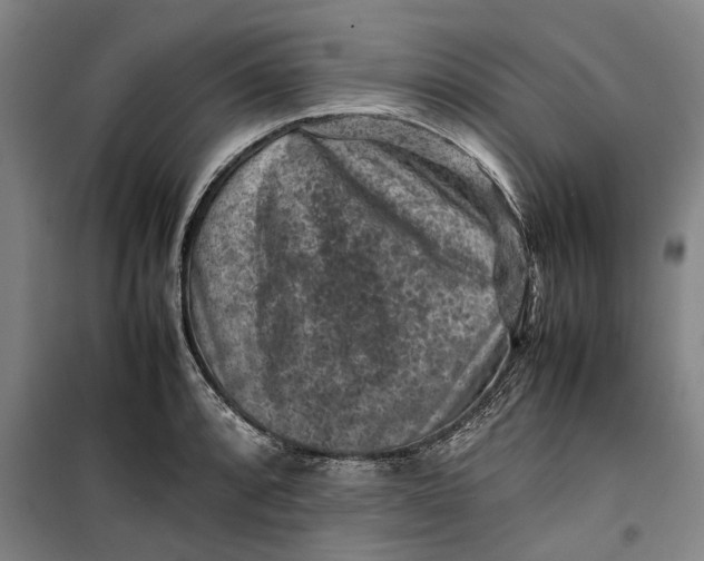 X0000099411088200805301340