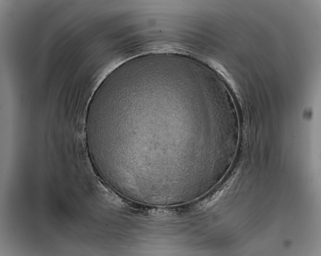 X0000099411089200805301340