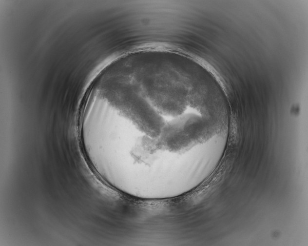 X0000099411090200805301340