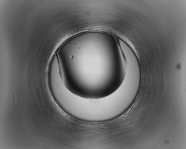 X0000099411091200805301340