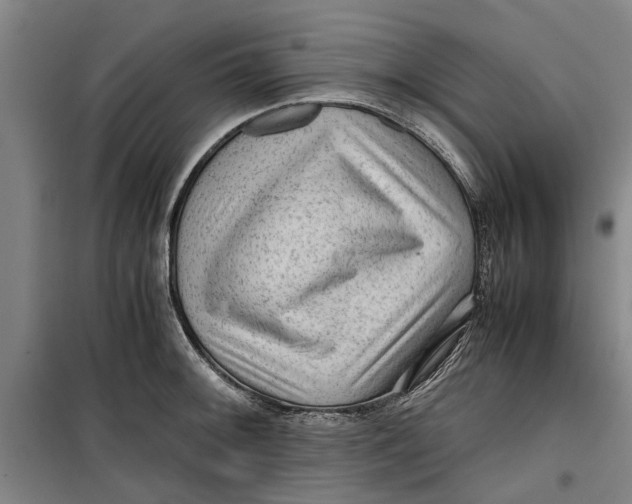 X0000099411092200805301340