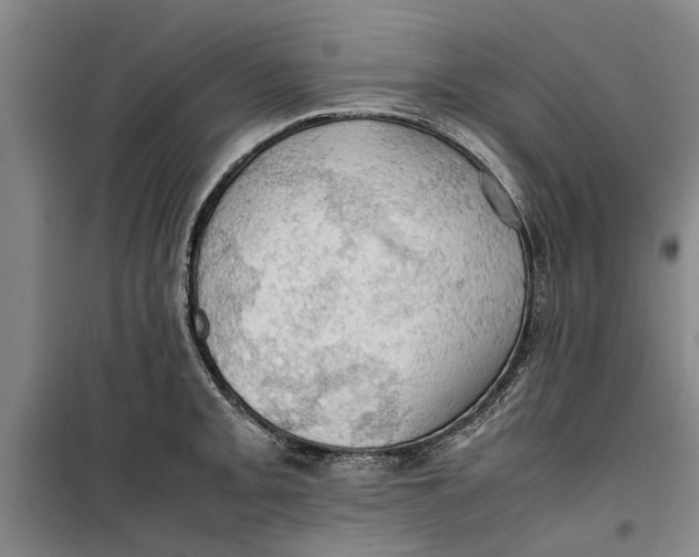 X0000099411093200805301340