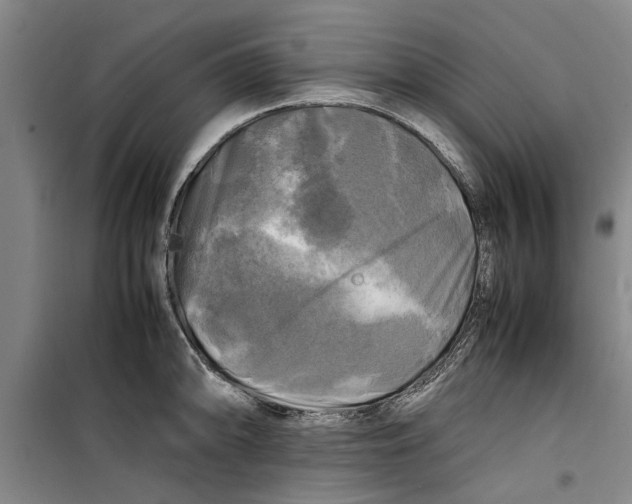 X0000099411094200805301340