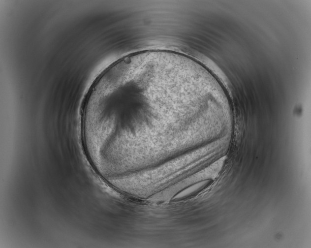 X0000099411096200805301340