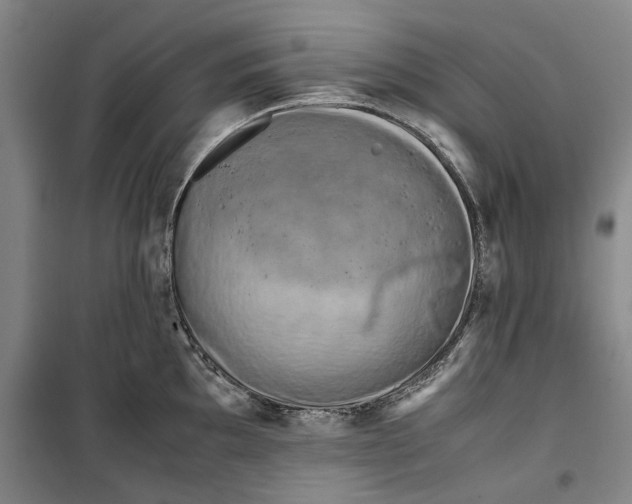 X0000099411097200805301340