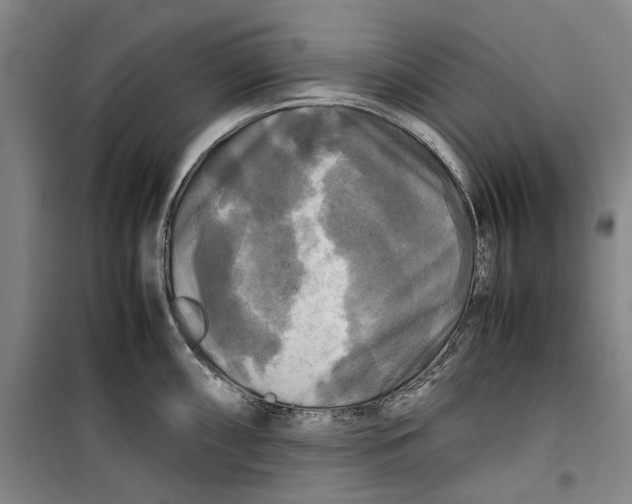 X0000099411098200805301340