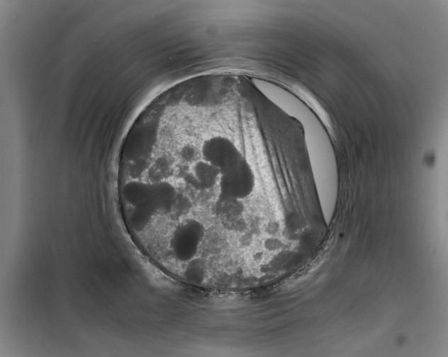 X0000099411099200805301340