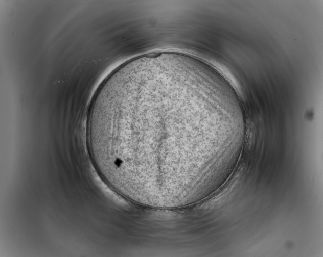 X0000099411100200805301340