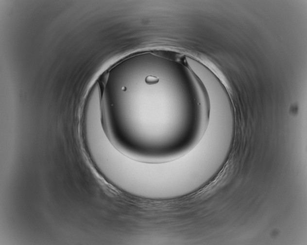 X0000099411101200805301340